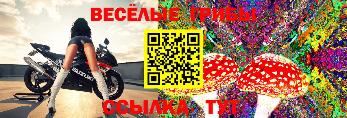 Галлюциногенные грибы ЛСД Междуреченск