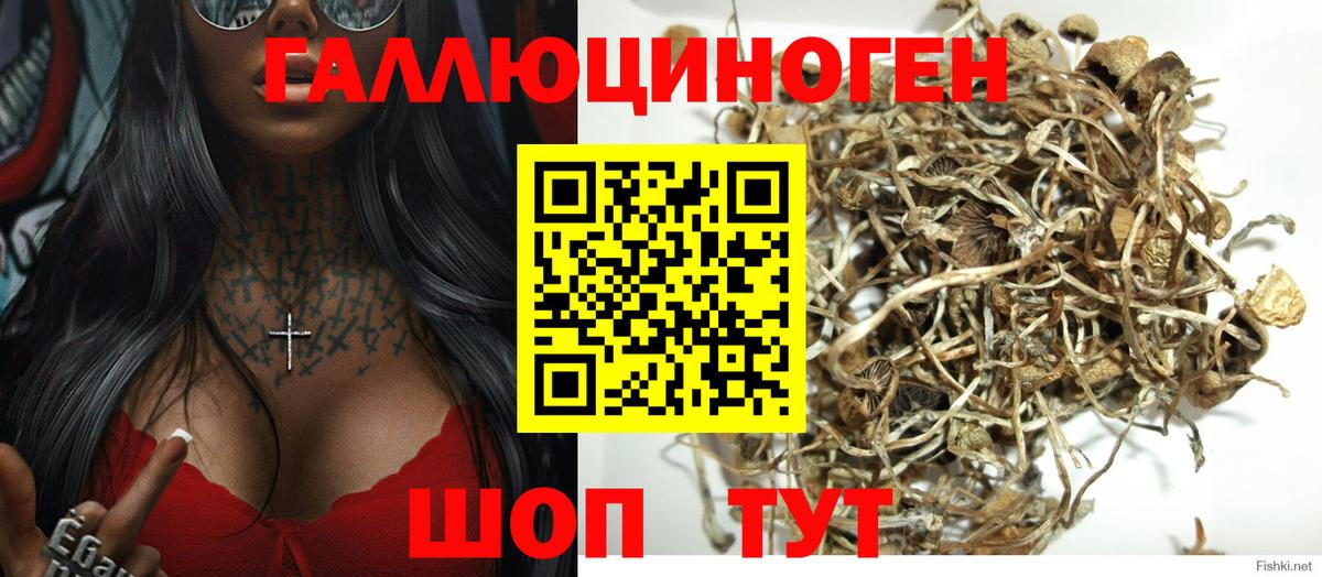 NBOMe  ГАШ  Меф кристаллы  Междуреченск  Вход с VPN  Гашиш  Канабис  Меф МЯУ МЯУ  АМФЕТАМИН   COCAIN 