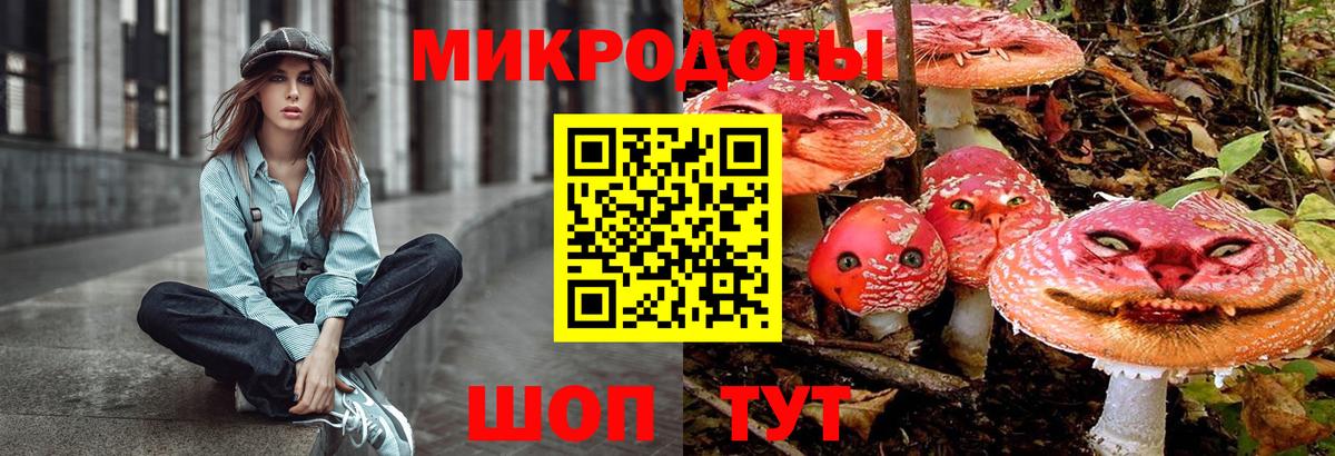 Псилоцибиновые грибы мицелий  Галлюциногенные грибы прущие грибы  Междуреченск  купить наркотик  Вход с VPN 